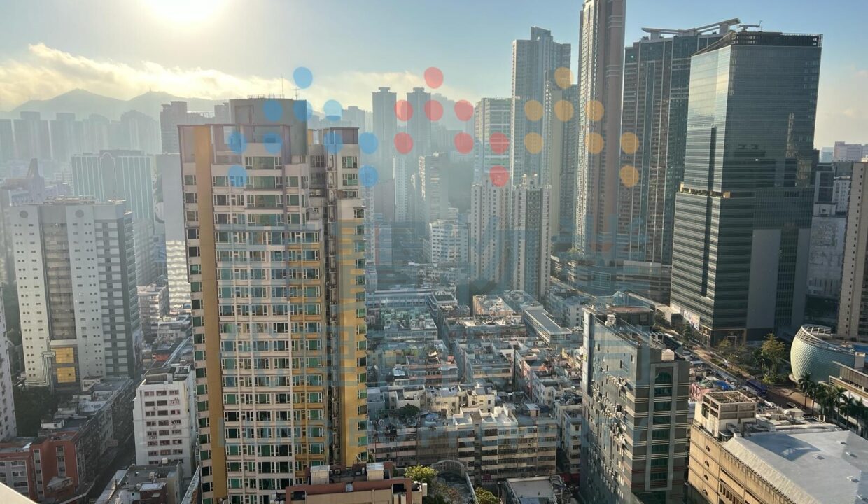 萬景峰5座30G (6)